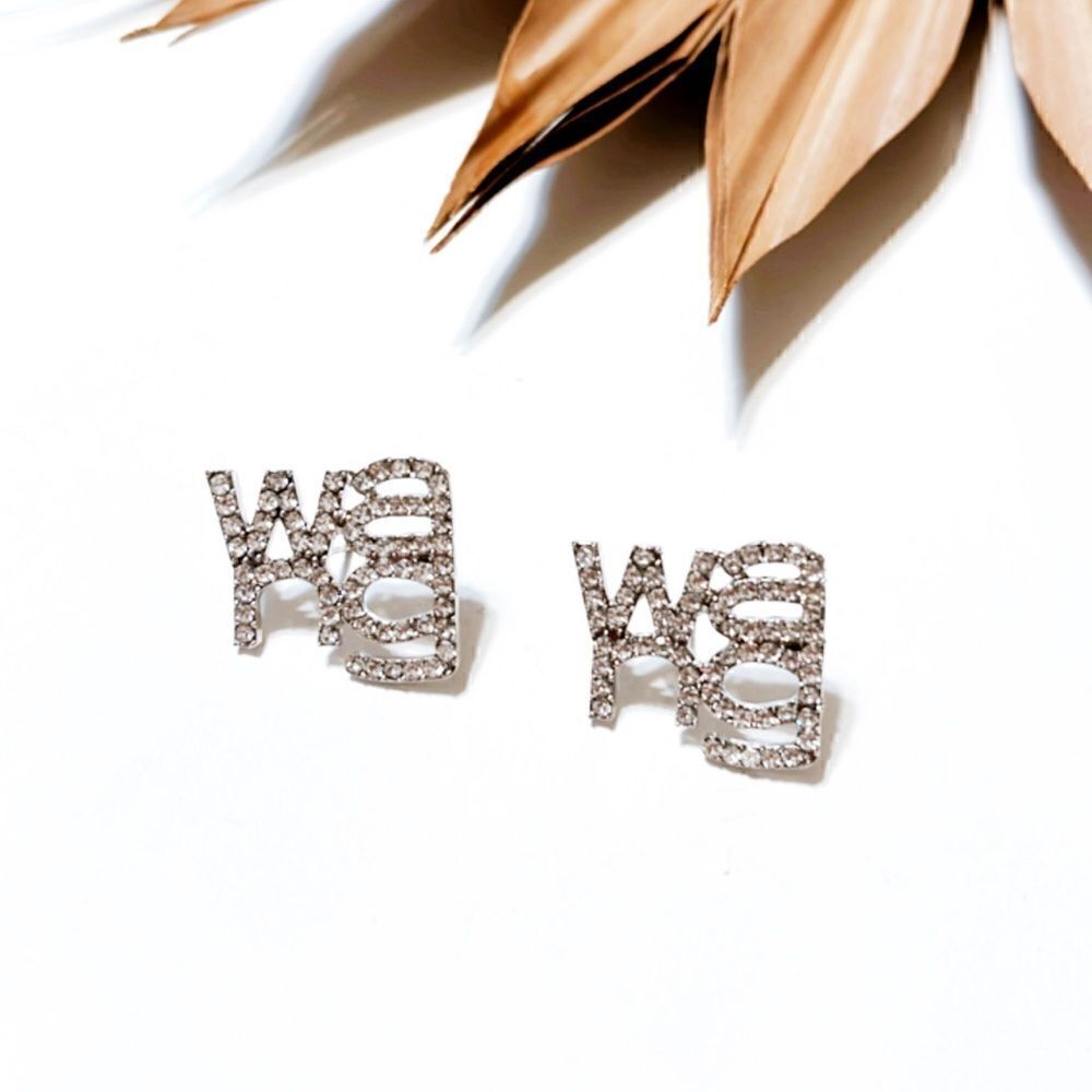 Alexander wang stud earrings N1741